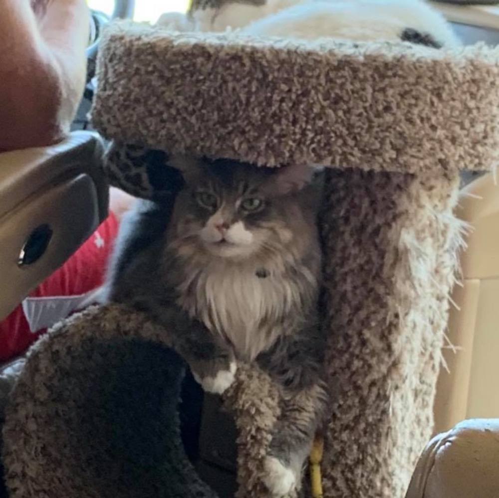 Meet your Posher, Karla